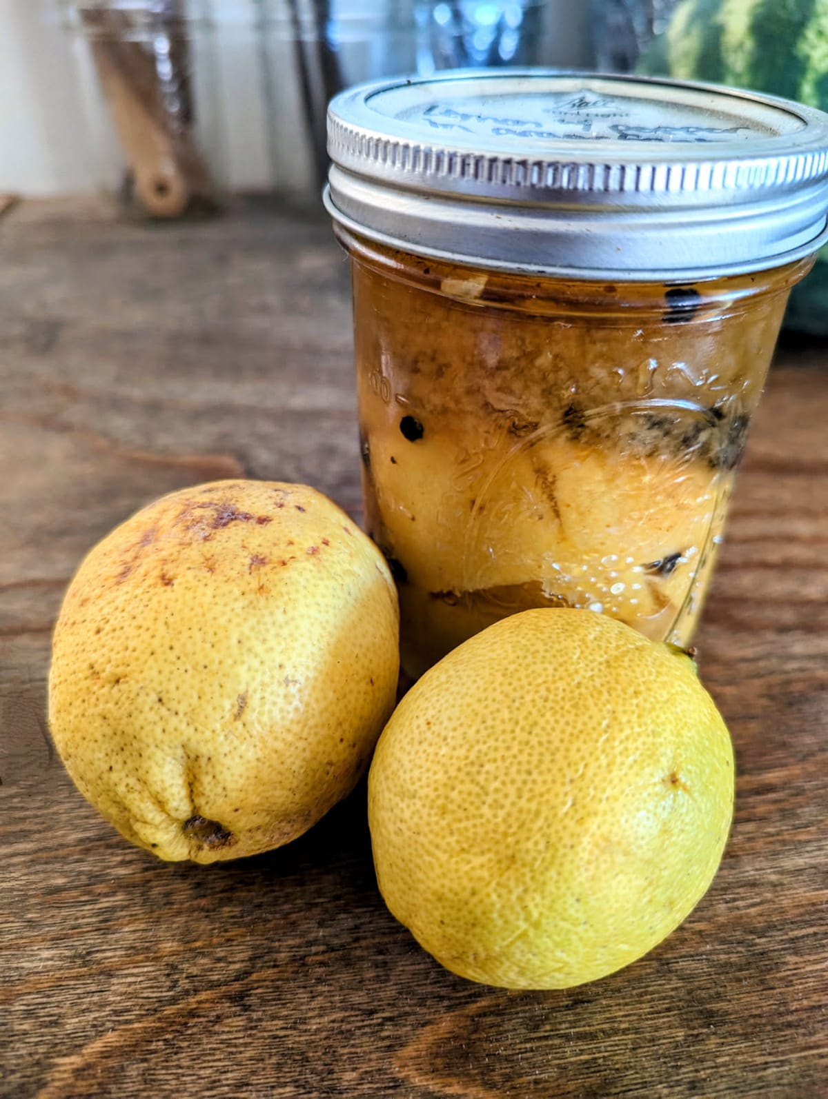 Wild Fermentation: an Intro