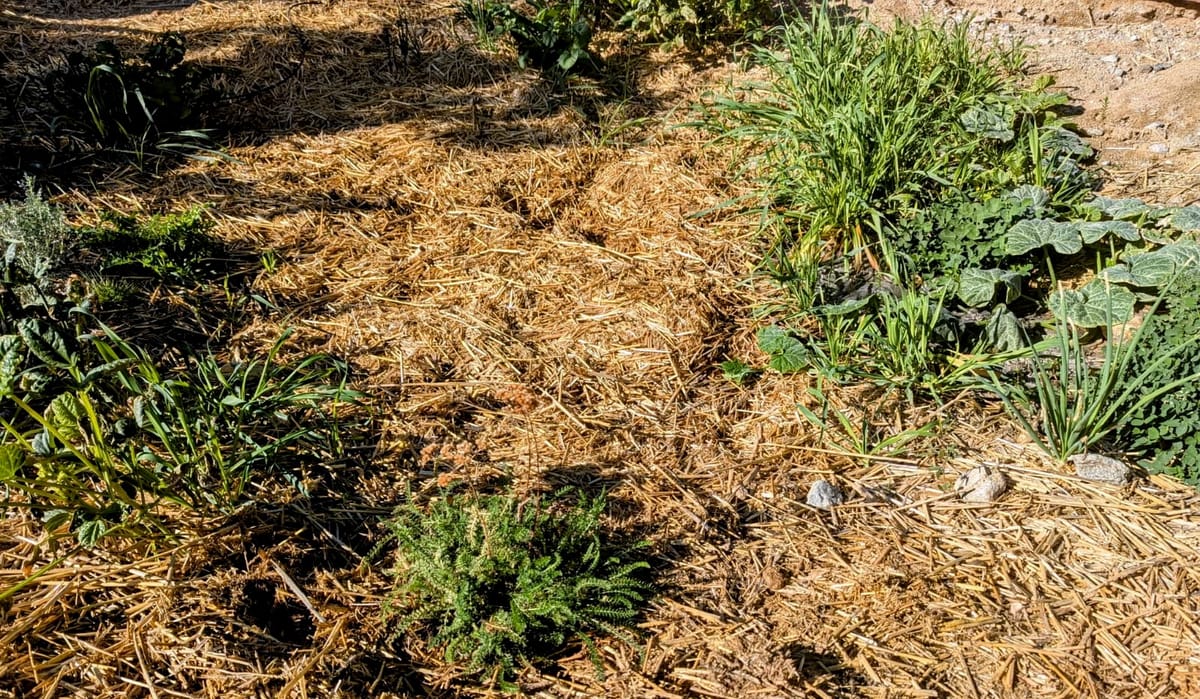 Quarterly Updates: Awaiting the Return of the Light